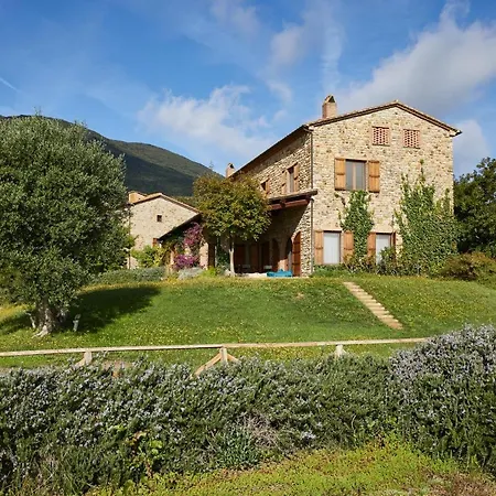 Agriturismo Boschi Di Monte Calvi Alloggio per agriturismo *